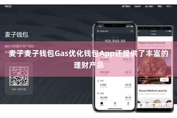 麦子麦子钱包Gas优化钱包App还提供了丰富的理财产品
