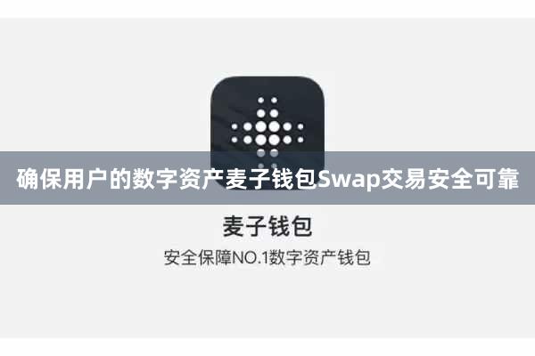 确保用户的数字资产麦子钱包Swap交易安全可靠