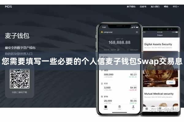 您需要填写一些必要的个人信麦子钱包Swap交易息