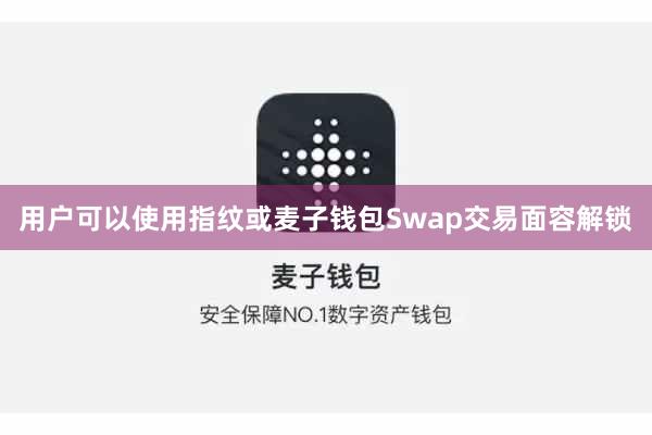 用户可以使用指纹或麦子钱包Swap交易面容解锁
