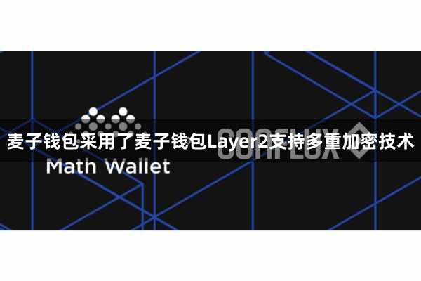 麦子钱包采用了麦子钱包Layer2支持多重加密技术