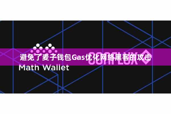 避免了麦子钱包Gas优化网络黑客的攻击