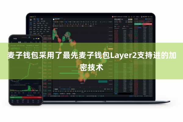 麦子钱包采用了最先麦子钱包Layer2支持进的加密技术