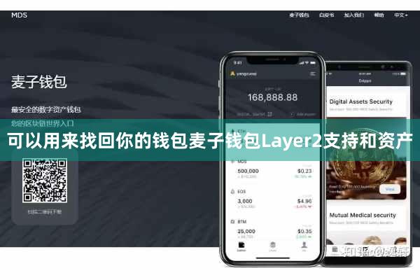 可以用来找回你的钱包麦子钱包Layer2支持和资产