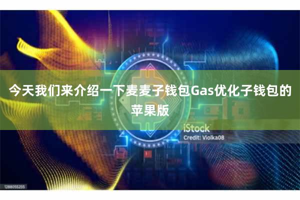 今天我们来介绍一下麦麦子钱包Gas优化子钱包的苹果版