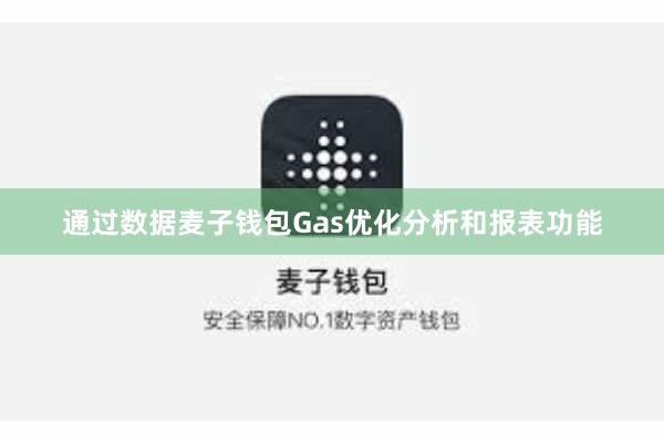 通过数据麦子钱包Gas优化分析和报表功能
