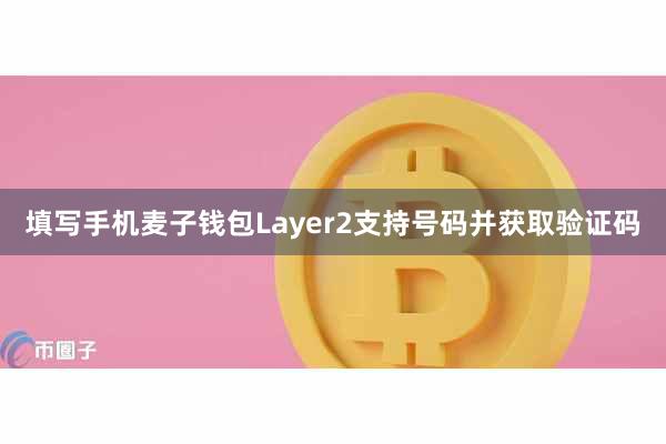 填写手机麦子钱包Layer2支持号码并获取验证码