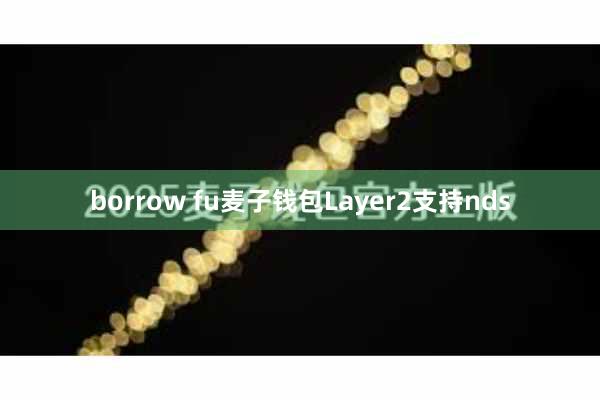 borrow fu麦子钱包Layer2支持nds