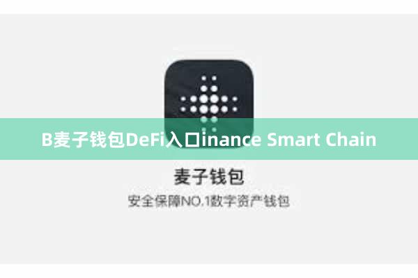 B麦子钱包DeFi入口inance Smart Chain