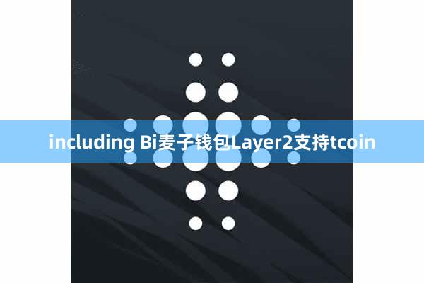 including Bi麦子钱包Layer2支持tcoin