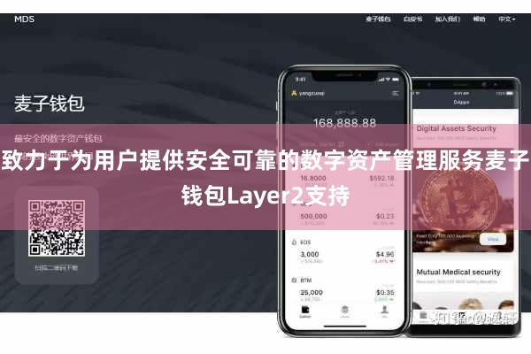 致力于为用户提供安全可靠的数字资产管理服务麦子钱包Layer2支持