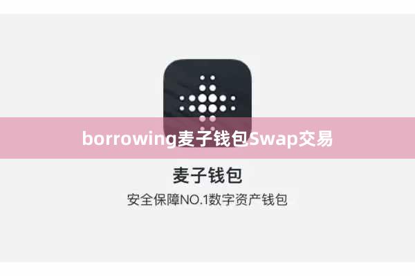 borrowing麦子钱包Swap交易