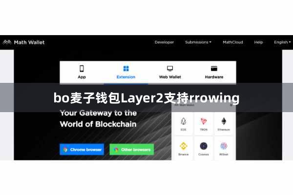 bo麦子钱包Layer2支持rrowing
