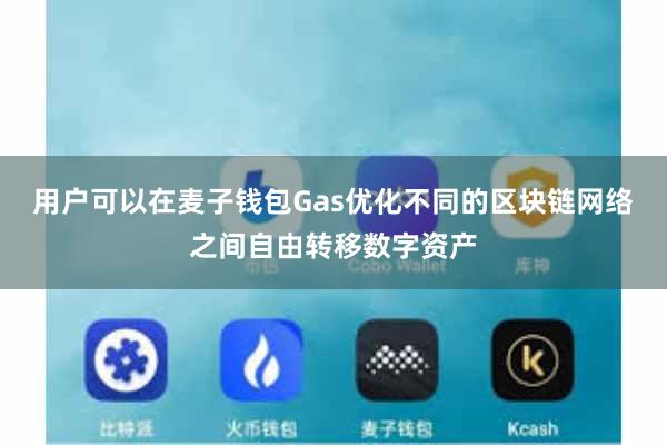 用户可以在麦子钱包Gas优化不同的区块链网络之间自由转移数字资产