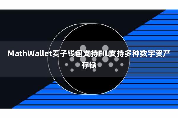 MathWallet麦子钱包支持FIL支持多种数字资产存储