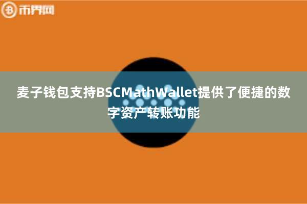 麦子钱包支持BSCMathWallet提供了便捷的数字资产转账功能