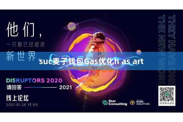 suc麦子钱包Gas优化h as art