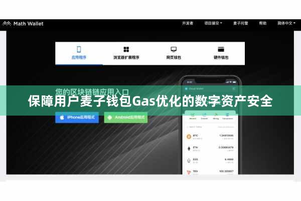 保障用户麦子钱包Gas优化的数字资产安全