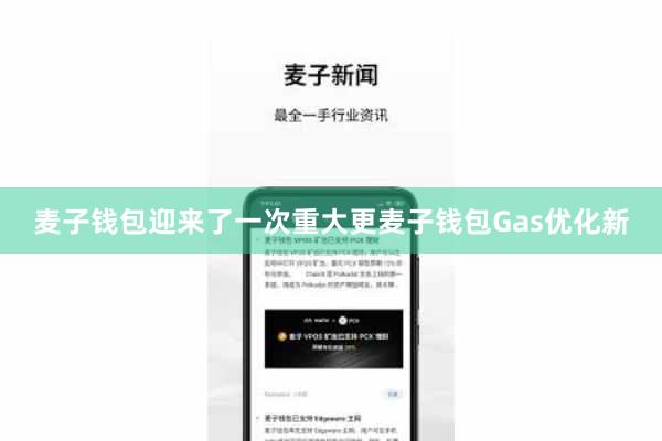 麦子钱包迎来了一次重大更麦子钱包Gas优化新