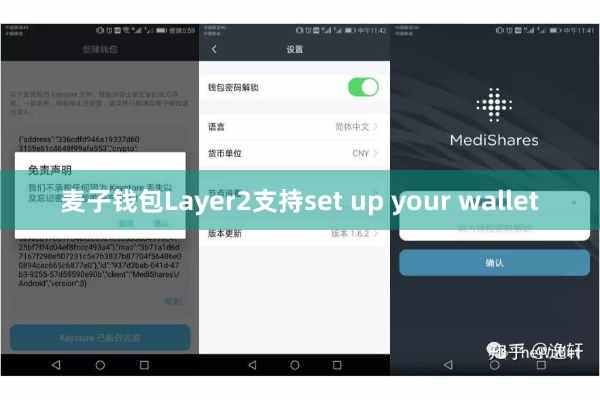 麦子钱包Layer2支持set up your wallet